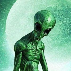 ML0D7 avatar