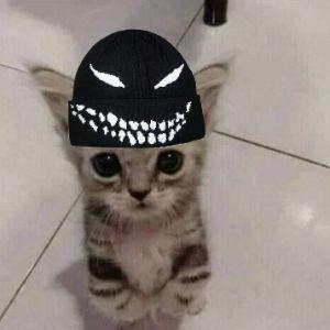 Cunnball avatar