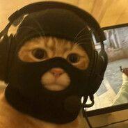 Batuhanplv avatar