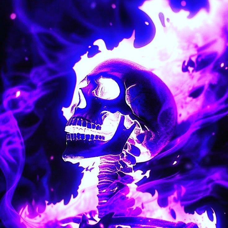 team_Zoraxh_