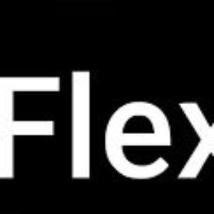 Player FLEX_eee avatar