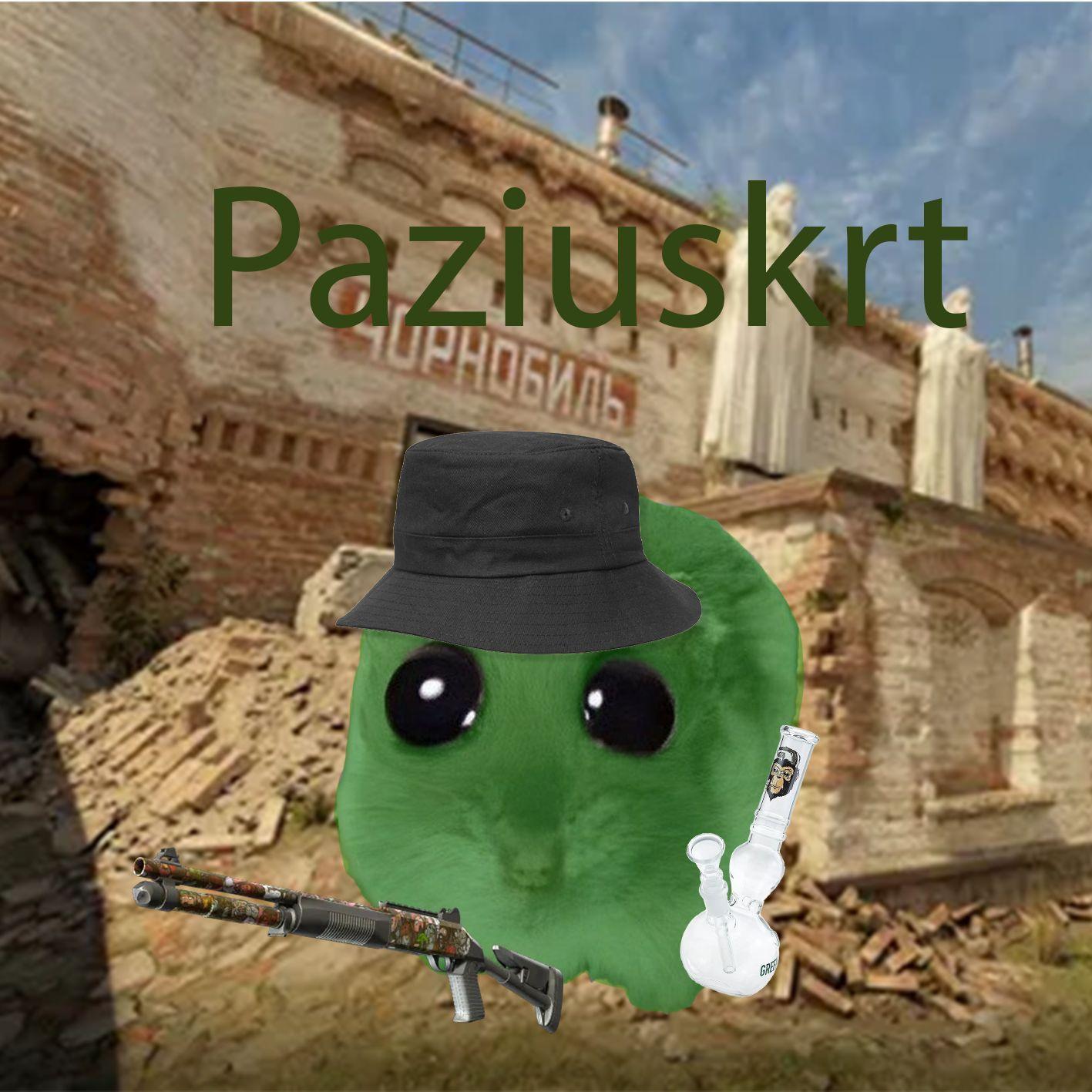 Player Paziuskrt avatar