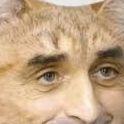 BrBrPatapims avatar
