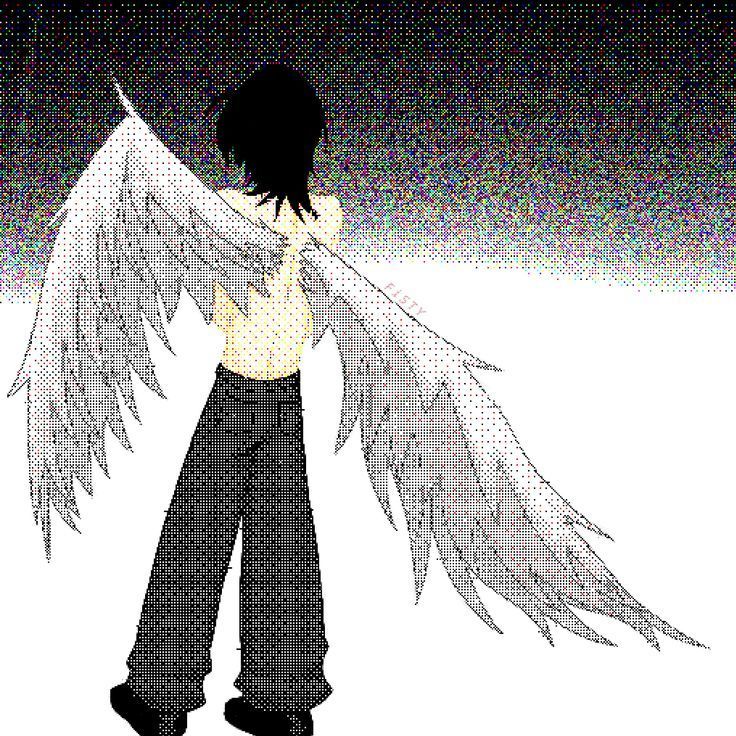 kiss555