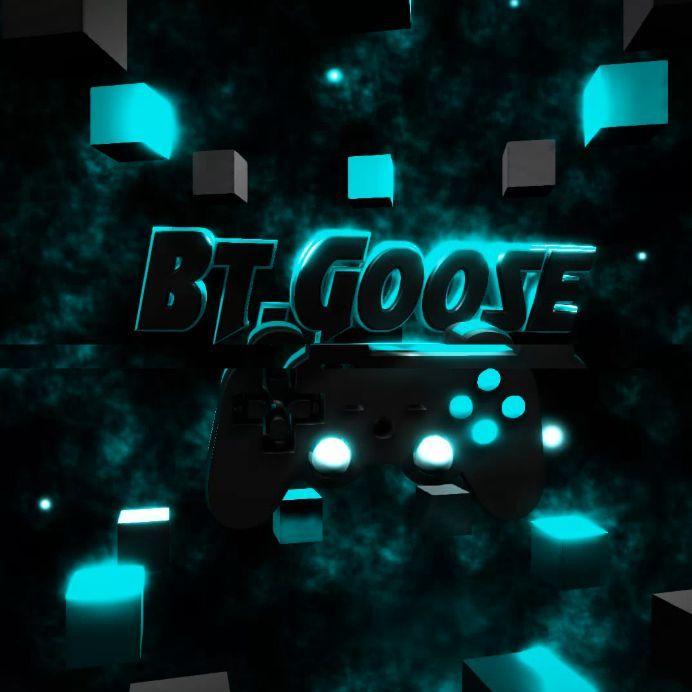 Btgoose avatar