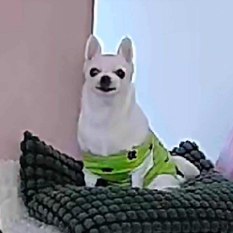 KiSZ0R FACEIT avatar