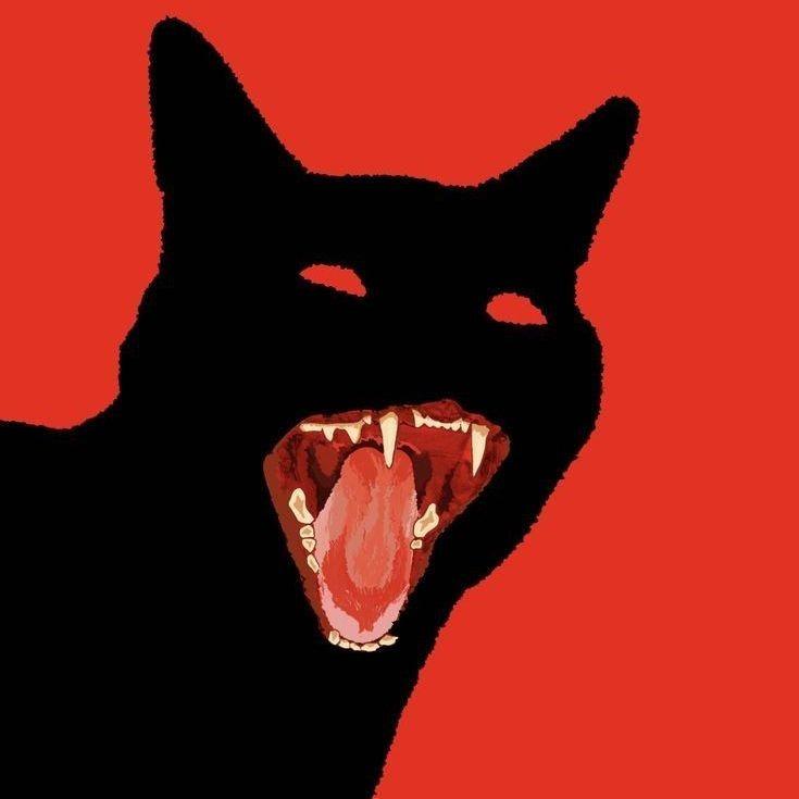 MortuiXego avatar