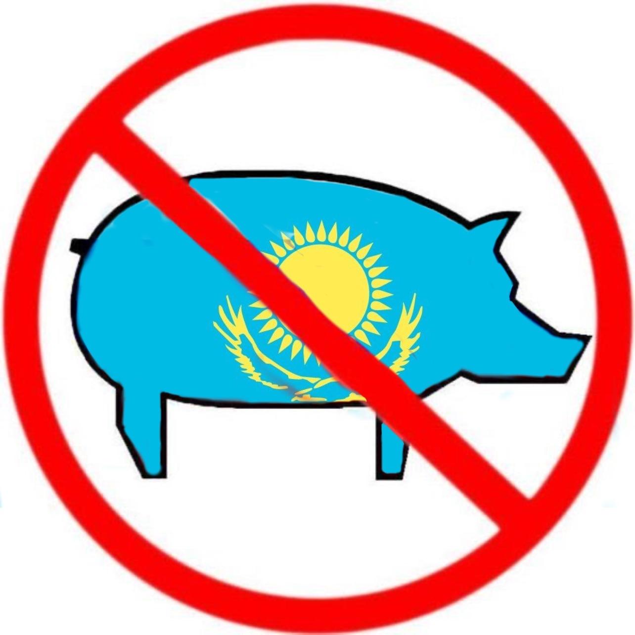 Sofidze_cs avatar