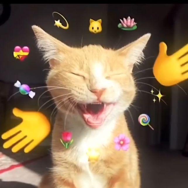 gkaem avatar