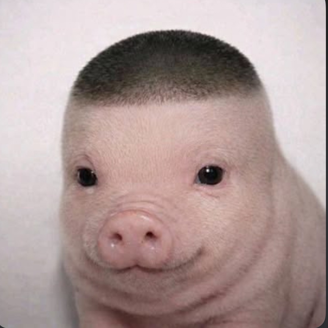 B0r1ss