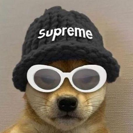 BERRRY avatar