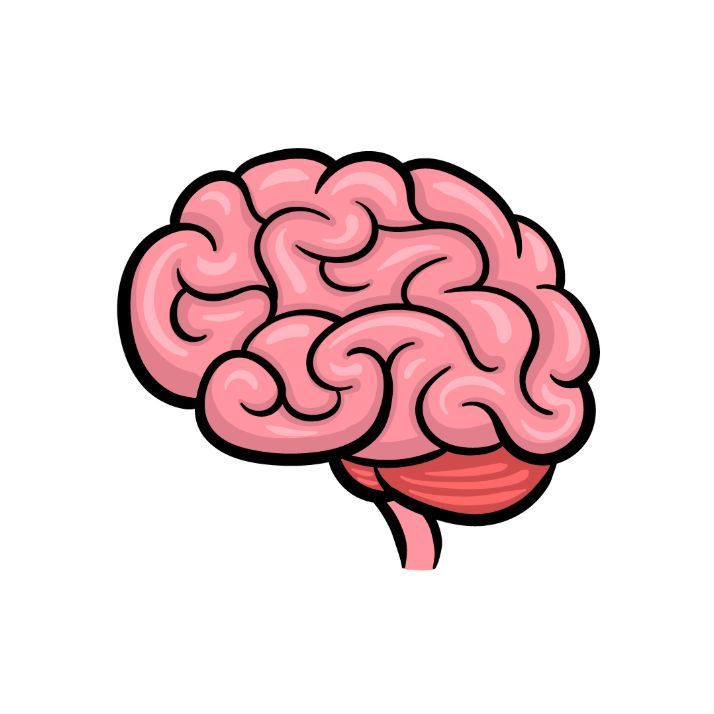 brain in fridge