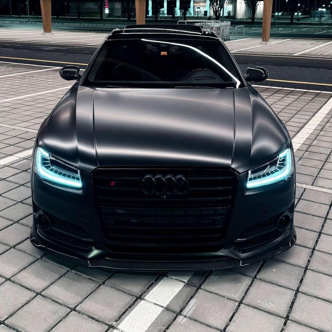 s8_P avatar