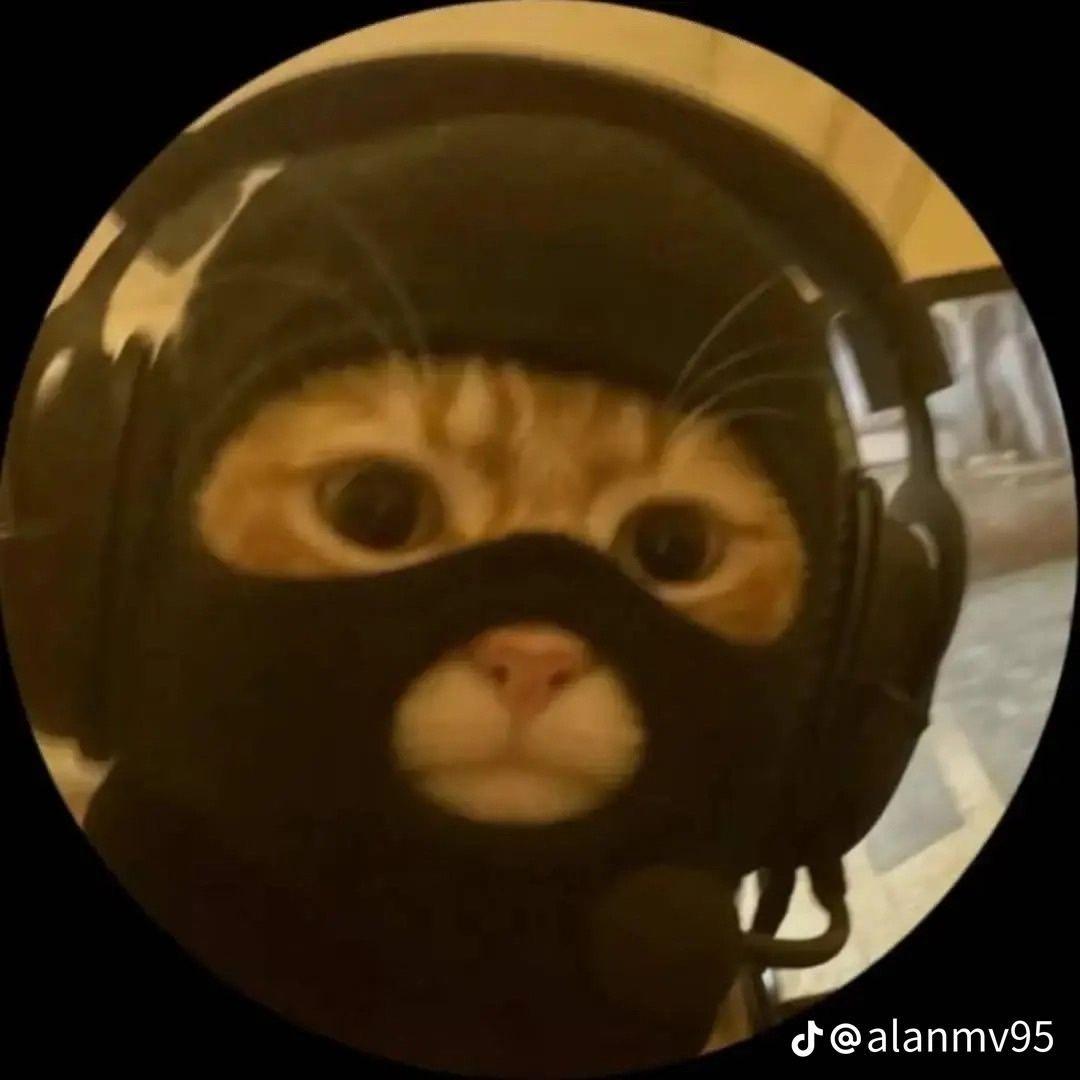Serjo2k avatar