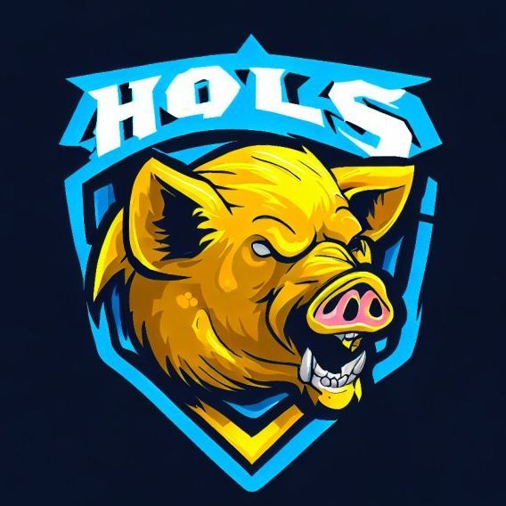 Team HoLs