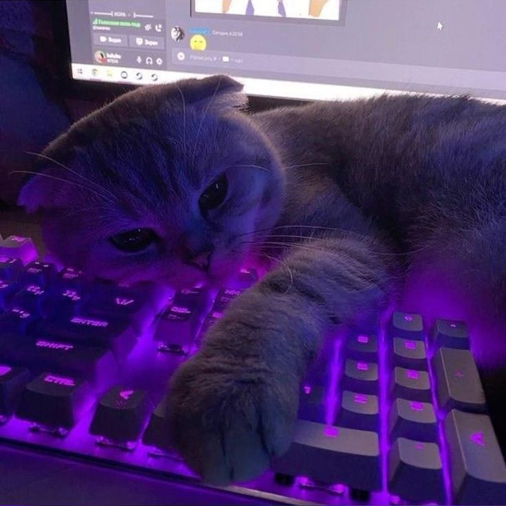 swiiimix