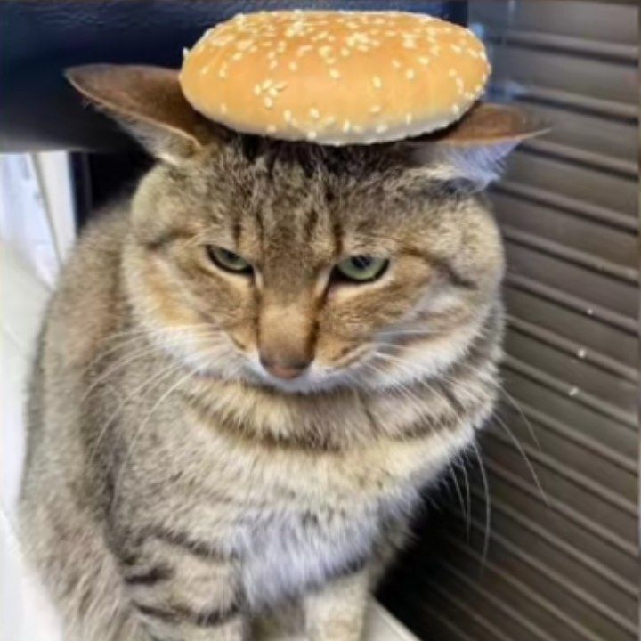 Bestsport