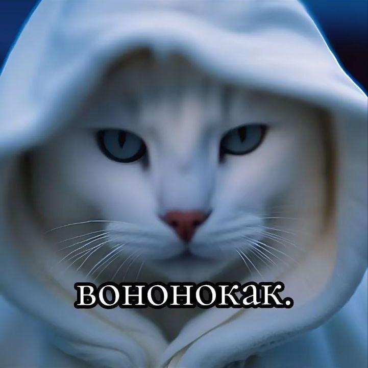 Kunkizzzz avatar
