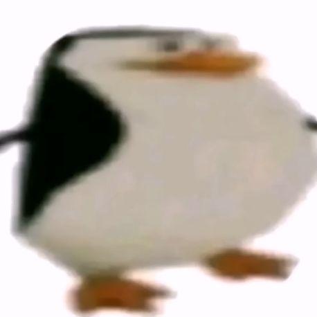 ausschlemmer avatar