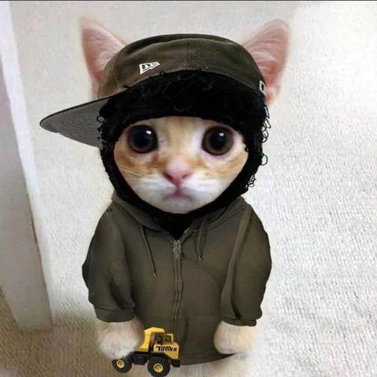 AsianMnDingO avatar