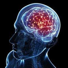 SmartSapiens avatar