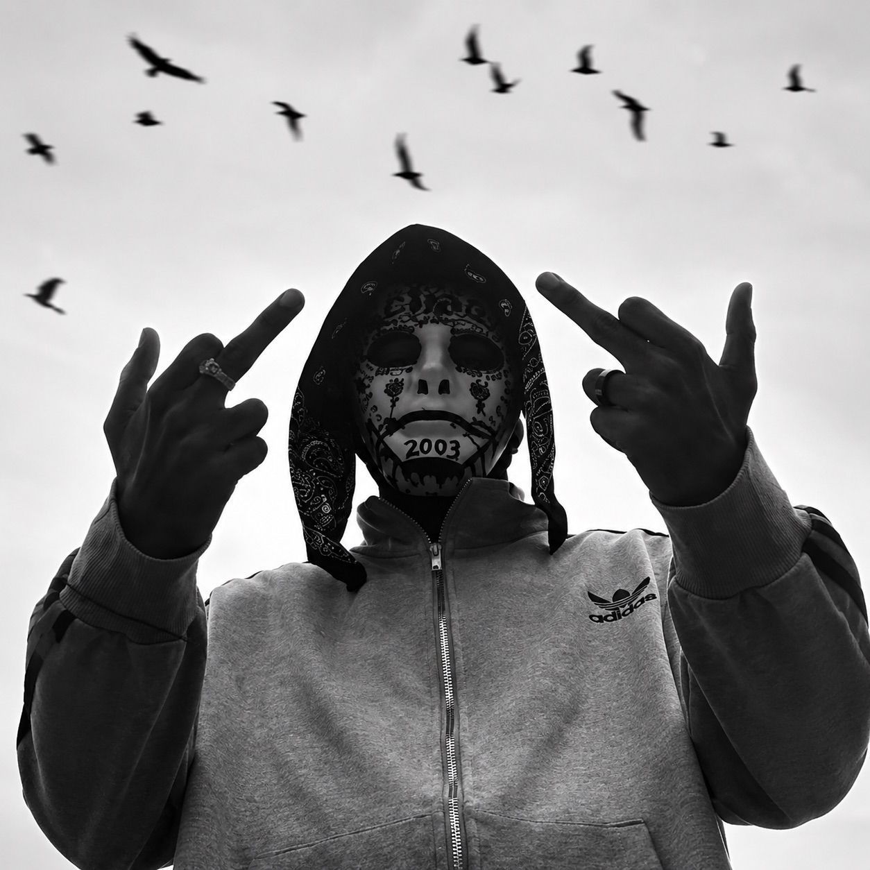 team_Fatrapz