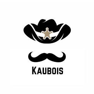 Kaubois