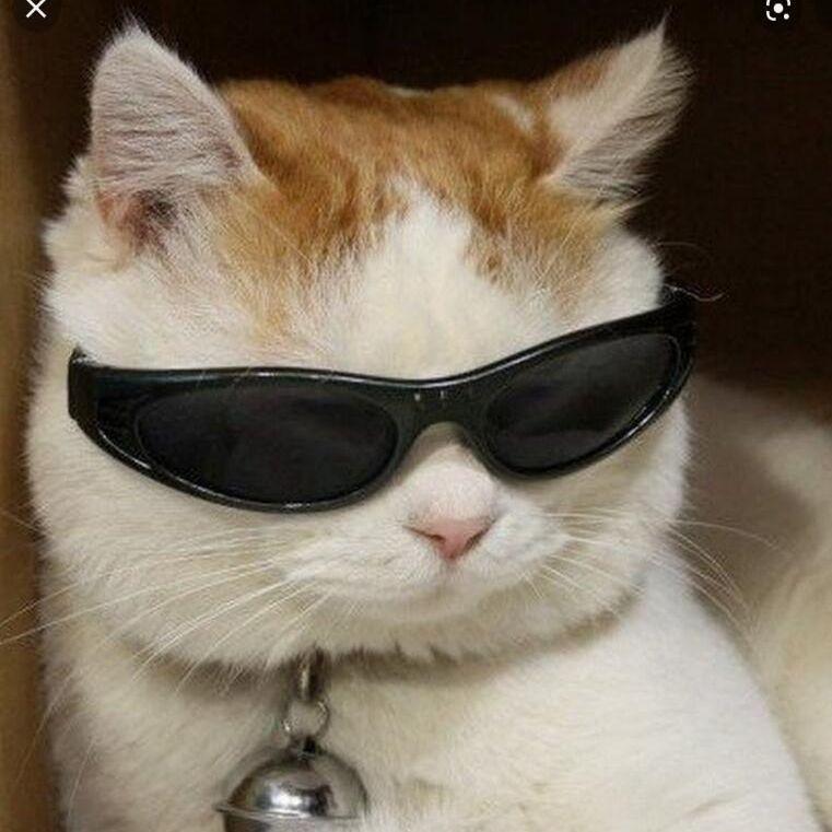 mipomp