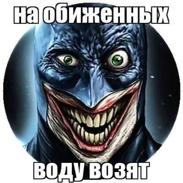 volod1aaa avatar