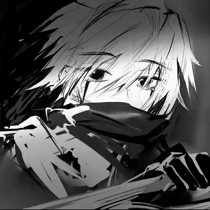 lipostra avatar