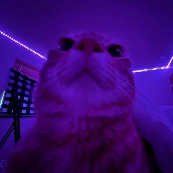 dima_gg__ avatar