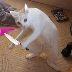 -jANNNN