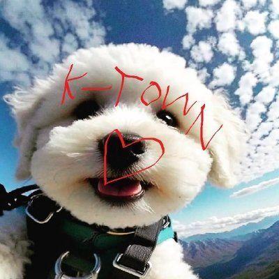 K-Town-Reformed
