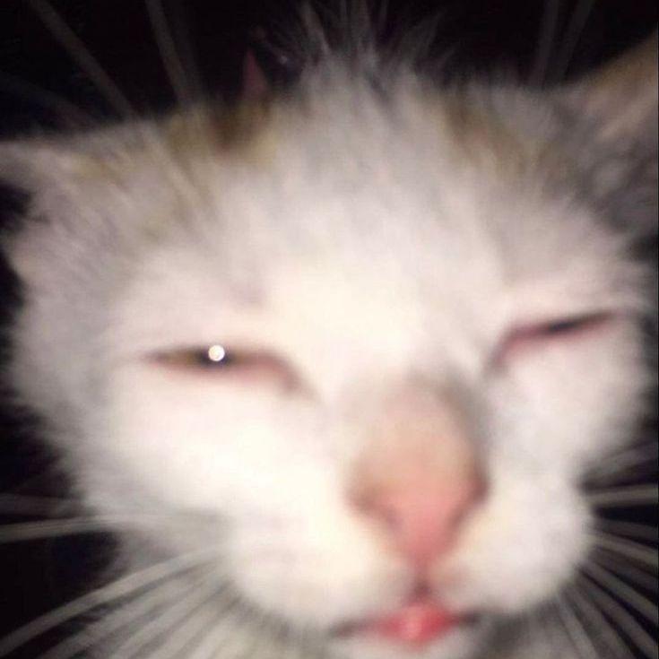 tangywey