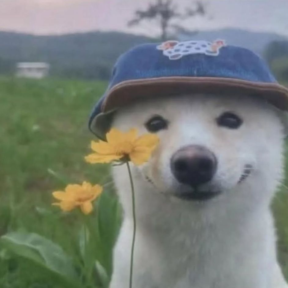 HappyDoggo