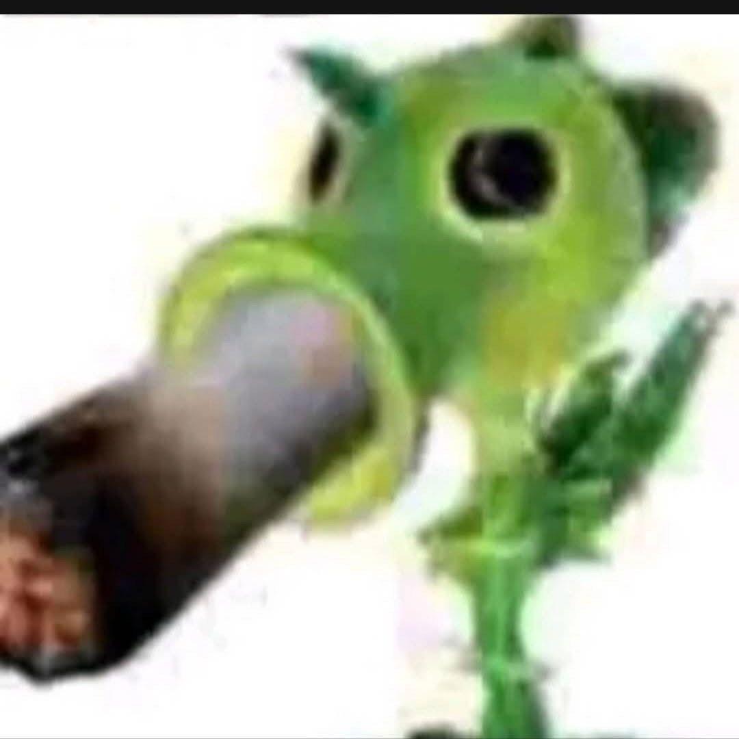 sperminik avatar