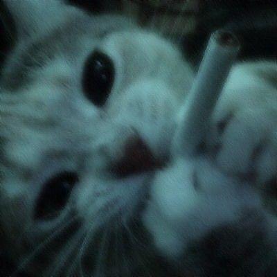 _bronislaw_ avatar