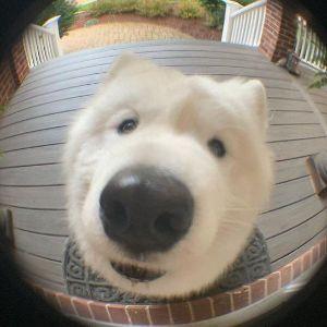 DiivZ_Yt avatar