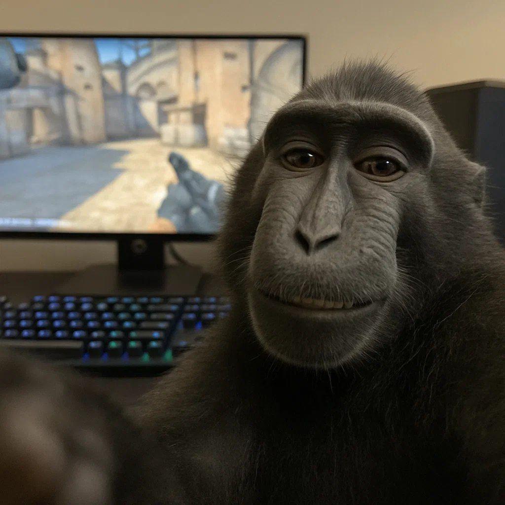 ByVoker avatar