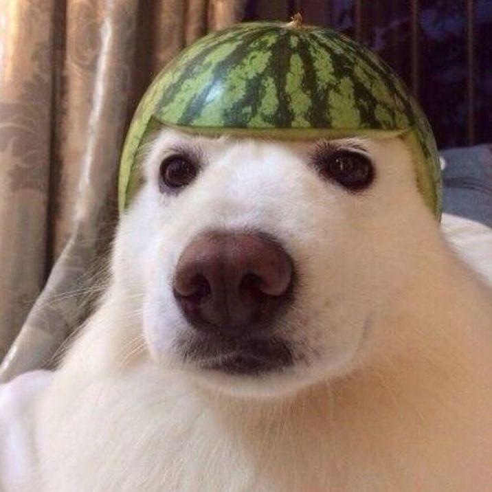 bananatop333 avatar
