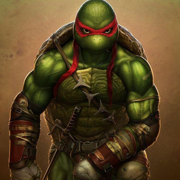 Raph_Turtle avatar