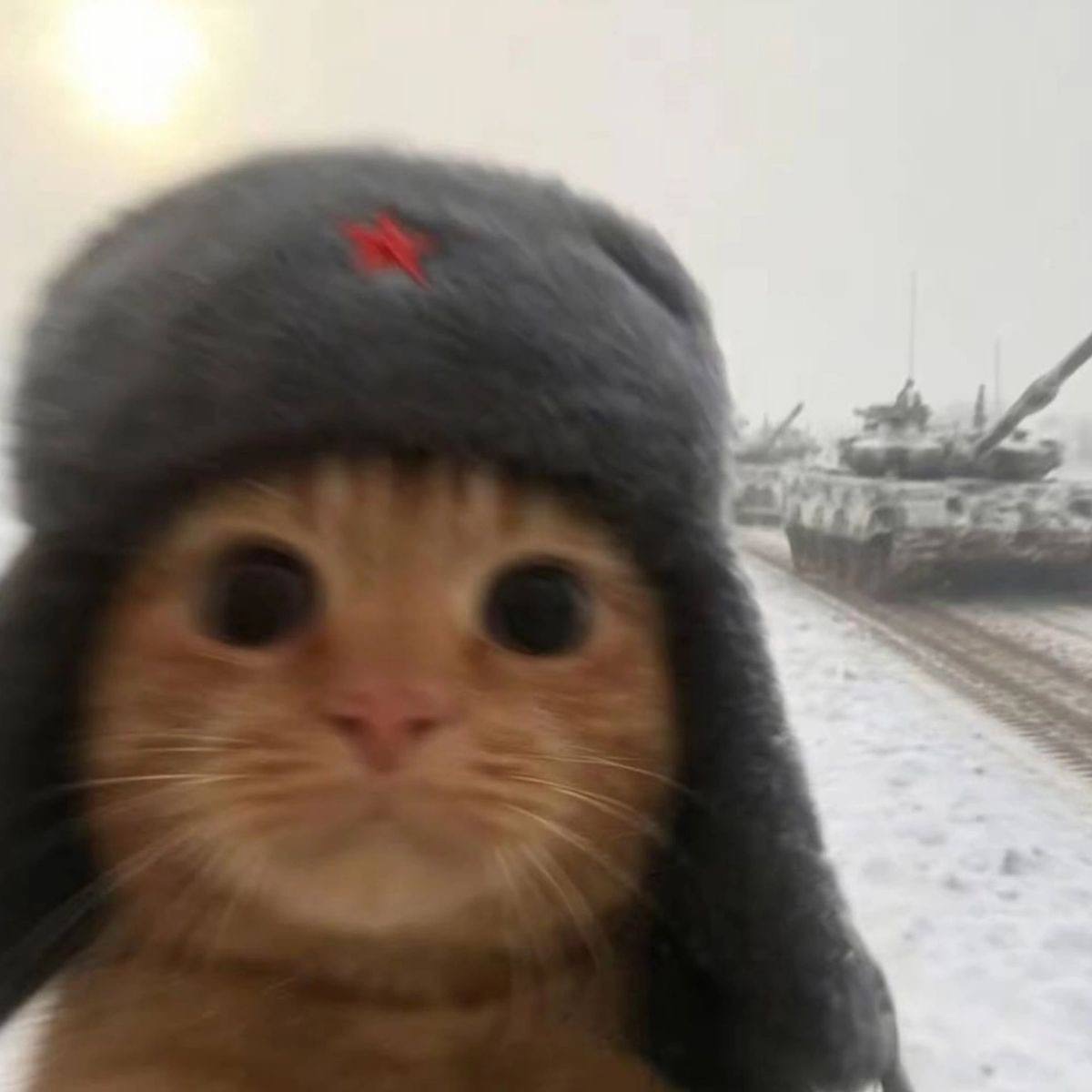 lahma0171