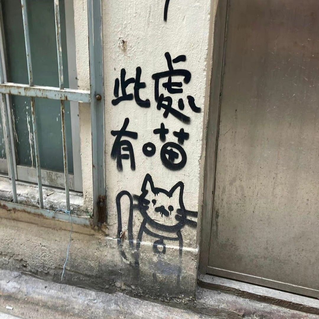 fsduyxx