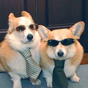 Chill Dudes