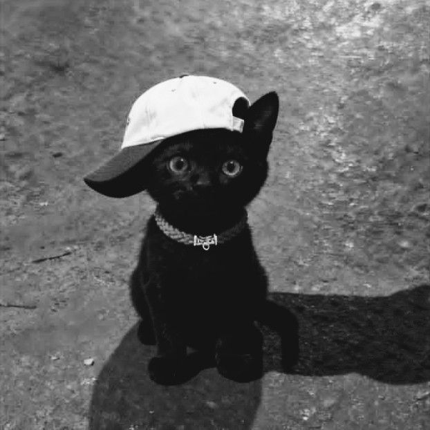 -hy----