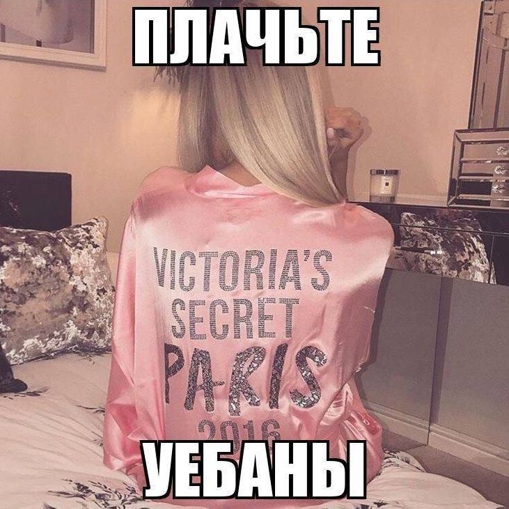 sdvgshnitsa