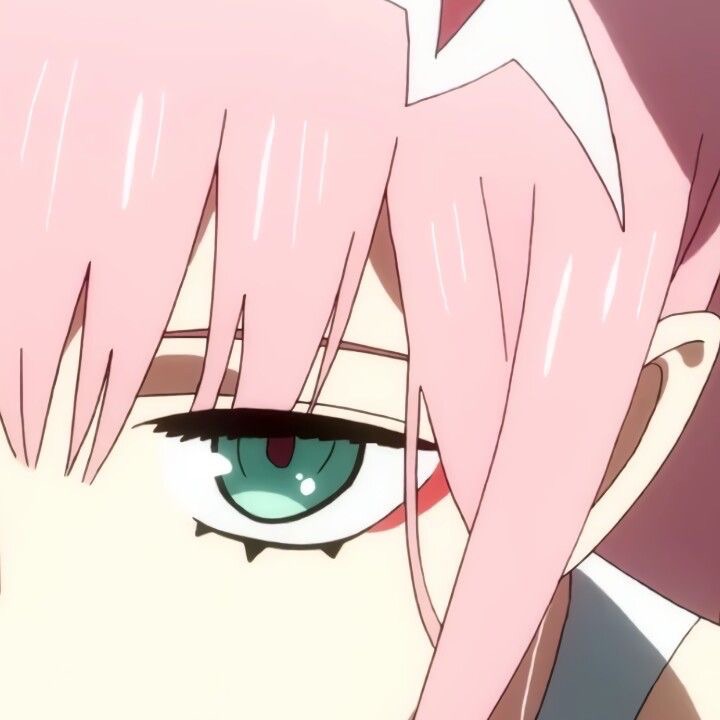 mushukl8