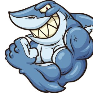 team_rodeosss