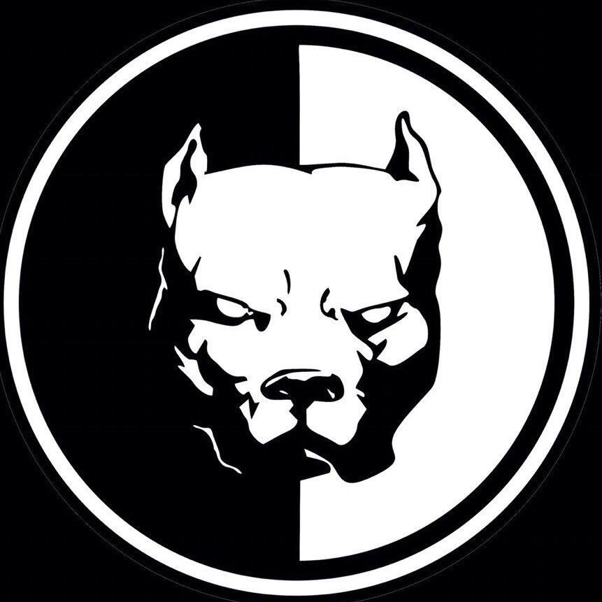 BW1312 avatar