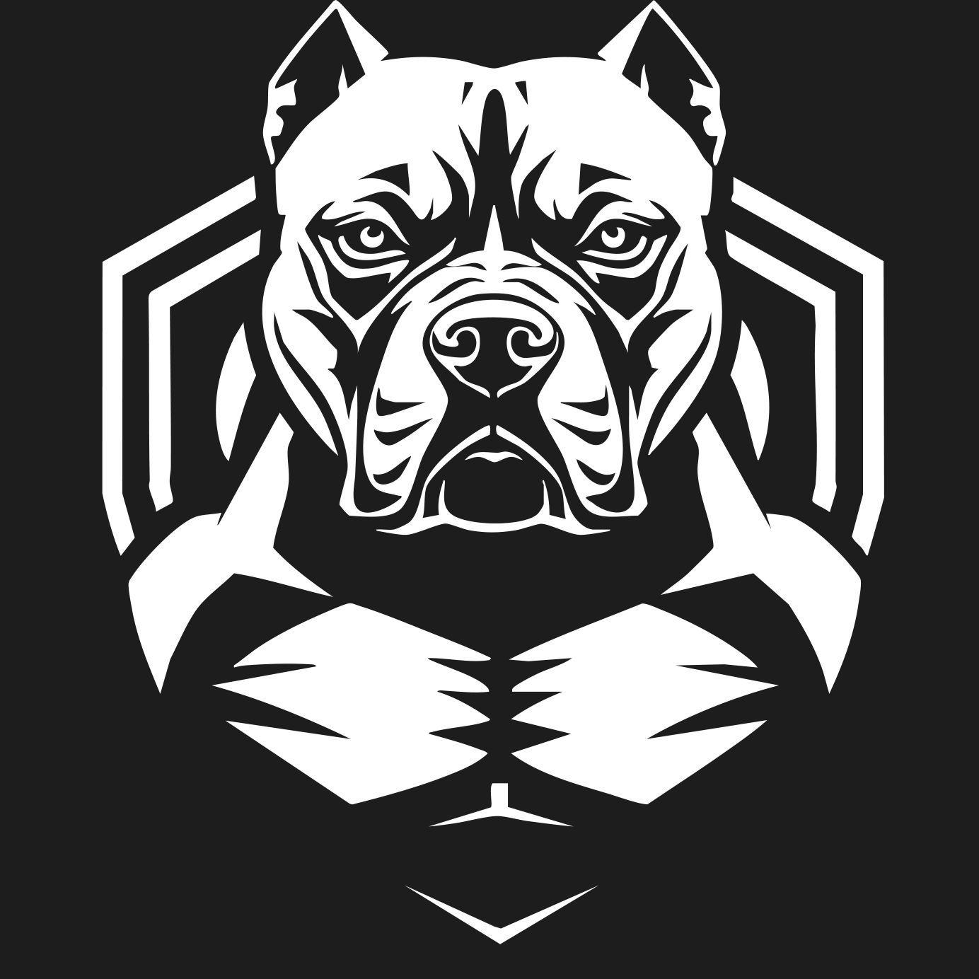 DG Esports